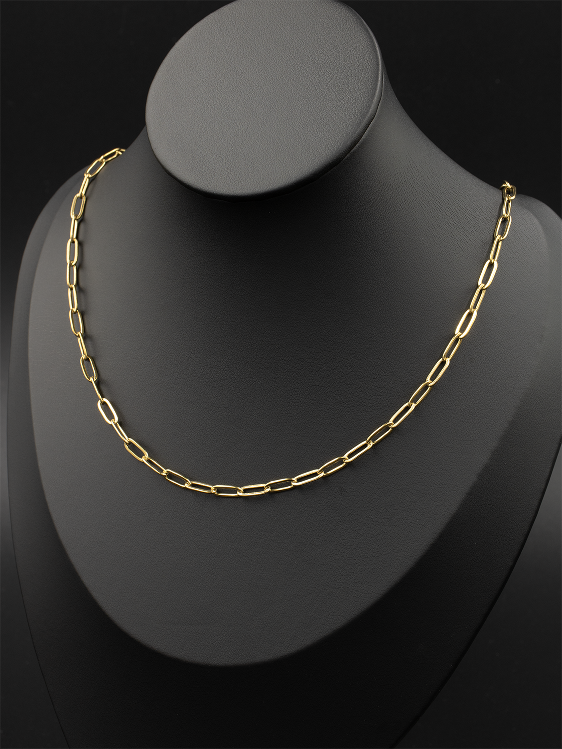 Gold Flattened Paperclip Chain 2 / 13