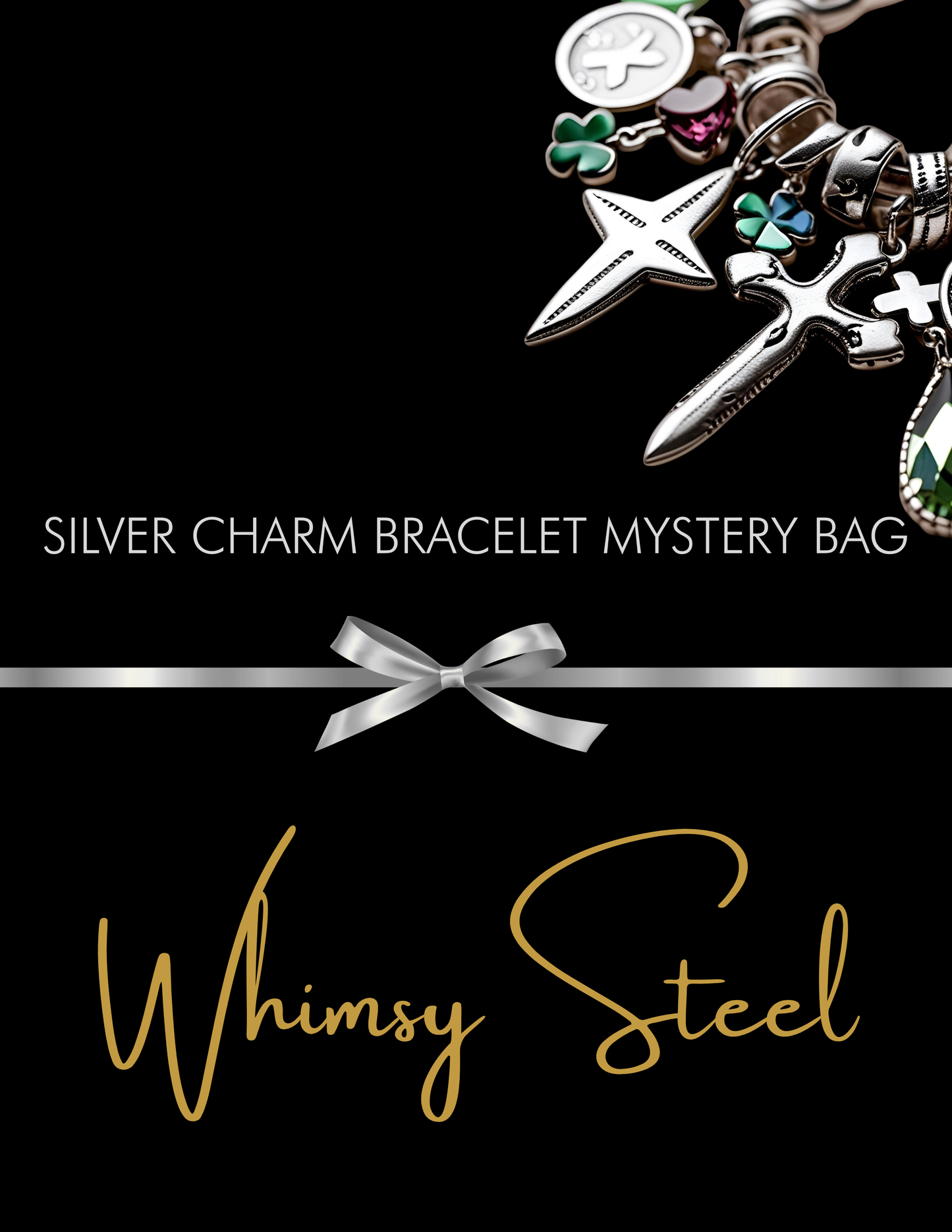 Silver Charm Bracelet Mystery Bag