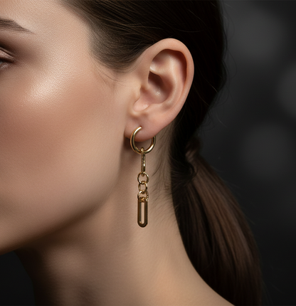 Chain Link Earrings