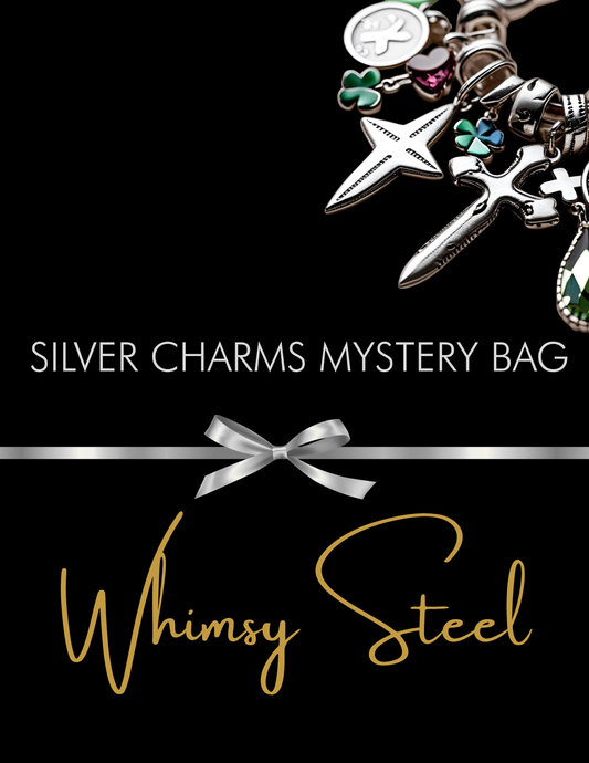 5 Silver Charms Mystery Bag