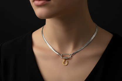 Mixed Metal Lucky Horseshoe Carabiner Necklace